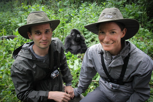 Honeymooning with gorillas